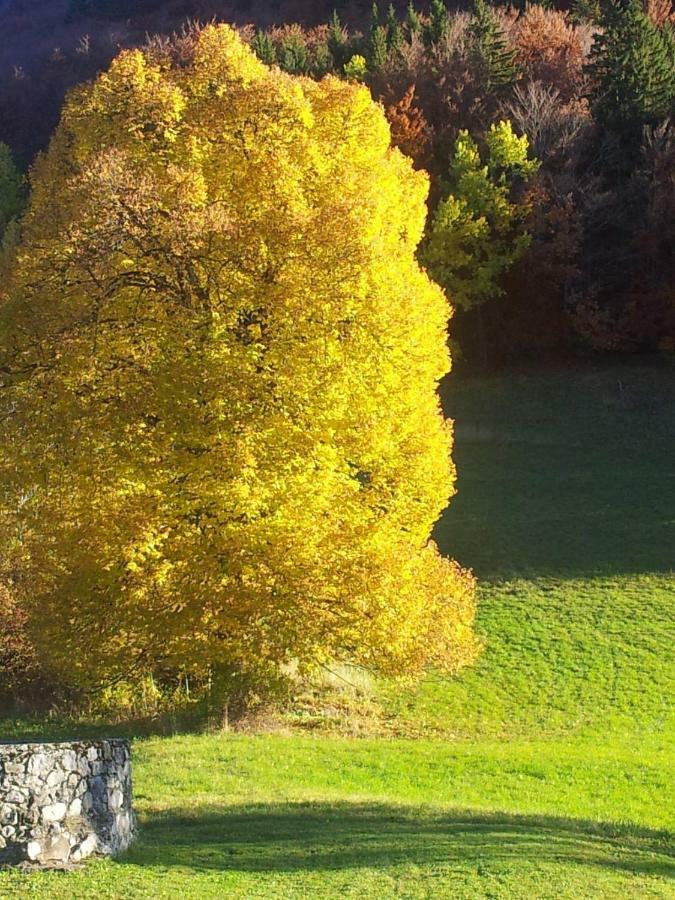 Le Relais Du Tilleul Chevenoz Bagian luar foto